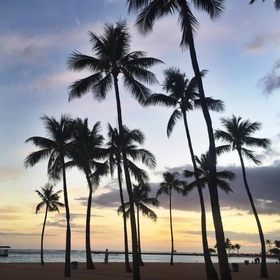Squared: North Shore of Oahu,&nbsp;Hawaii