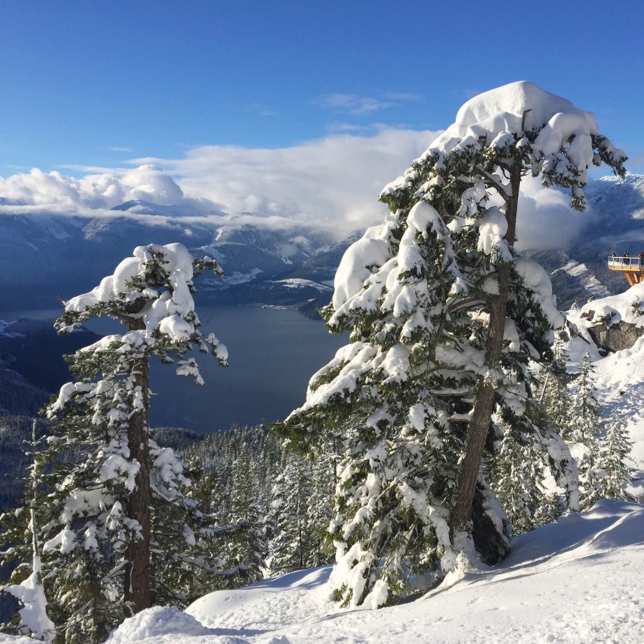 Squarred: Sea to Sky&nbsp;Gondola