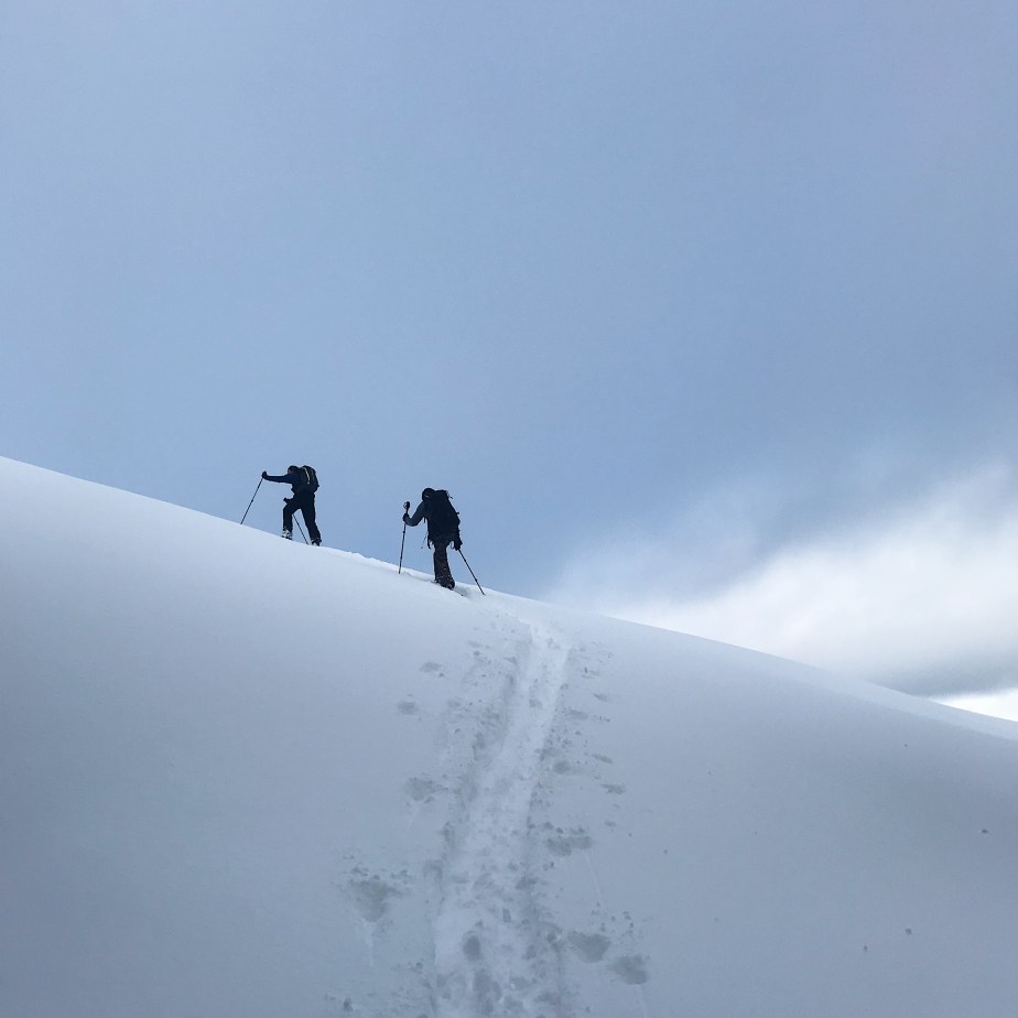 Out for a walk in Whistler, BC,&nbsp;Canada